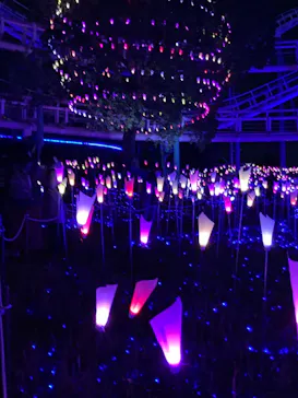 ひらかたパークに投稿された画像（2021/12/6）