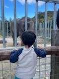 しろとり動物園に投稿された画像（2021/12/6）