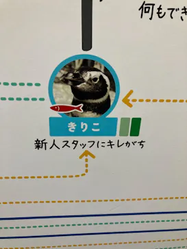 すみだ水族館に投稿された画像（2021/12/6）