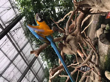 神戸どうぶつ王国に投稿された画像（2021/12/6）