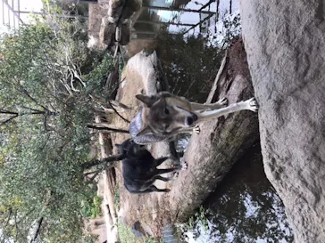 神戸どうぶつ王国に投稿された画像（2021/12/6）