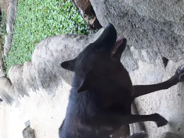 神戸どうぶつ王国に投稿された画像（2021/12/6）