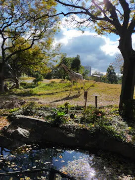 天王寺動物園に投稿された画像（2021/12/6）
