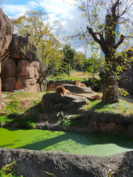 天王寺動物園に投稿された画像（2021/12/6）