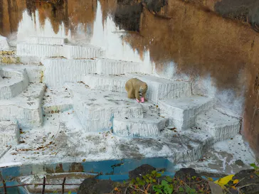 天王寺動物園に投稿された画像（2021/12/6）