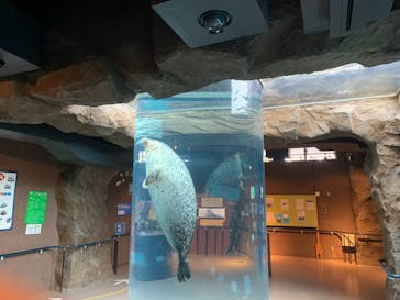 旭川市旭山動物園に投稿された画像（2021/12/6）