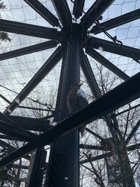 旭川市旭山動物園に投稿された画像（2021/12/6）