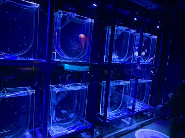 すみだ水族館に投稿された画像（2021/12/6）