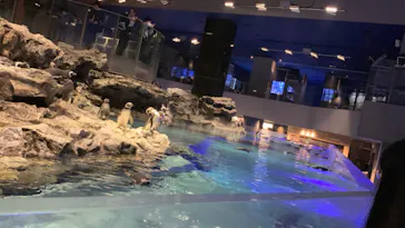 すみだ水族館に投稿された画像（2021/12/6）