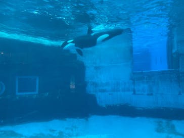 名古屋港水族館に投稿された画像（2021/12/6）