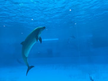 名古屋港水族館に投稿された画像（2021/12/6）