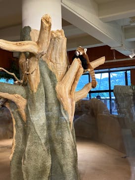 ネオパークオキナワに投稿された画像（2021/12/6）