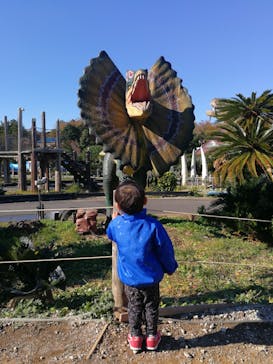 伊豆ぐらんぱる公園に投稿された画像（2021/12/6）