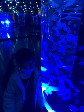 マクセル アクアパーク品川に投稿された画像（2021/12/6）