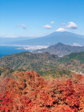 伊豆パノラマパークに投稿された画像（2021/12/6）