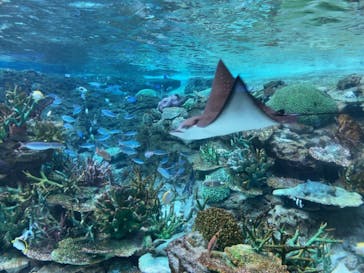 名古屋港水族館に投稿された画像（2021/12/6）