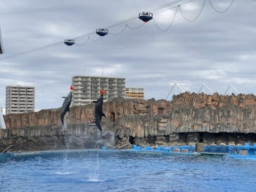 名古屋港水族館に投稿された画像（2021/12/6）