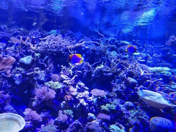 名古屋港水族館に投稿された画像（2021/12/6）