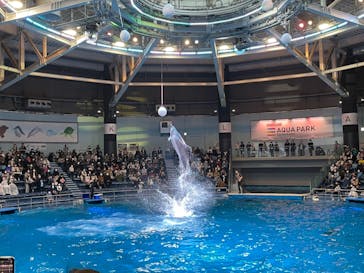 マクセル アクアパーク品川に投稿された画像（2021/12/6）