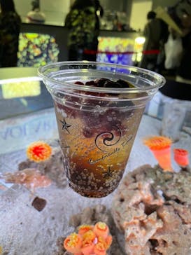 マクセル アクアパーク品川に投稿された画像（2021/12/6）