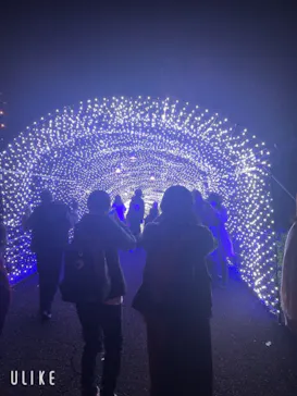 ひらかたパークに投稿された画像（2021/12/6）