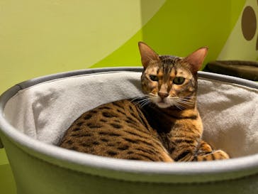 Moff animal world MARK IS みなとみらい店に投稿された画像（2021/12/6）