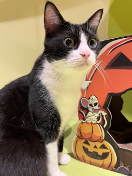 Moff animal world MARK IS みなとみらい店に投稿された画像（2021/12/6）