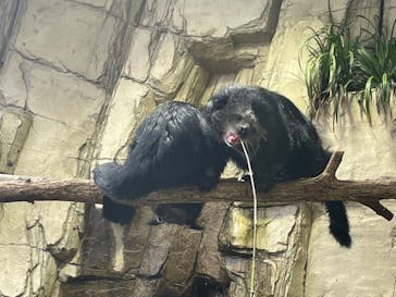 那須どうぶつ王国に投稿された画像（2021/12/6）