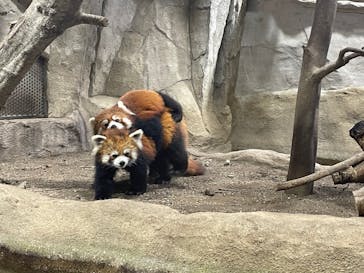 那須どうぶつ王国に投稿された画像（2021/12/6）