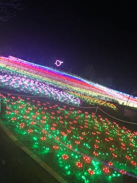 東武動物公園に投稿された画像（2021/12/6）