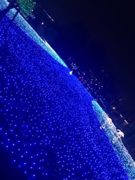 東武動物公園に投稿された画像（2021/12/6）