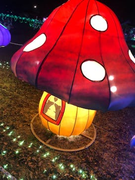 東武動物公園に投稿された画像（2021/12/6）