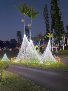 美らヤシパークオキナワ・東南植物楽園に投稿された画像（2021/12/6）