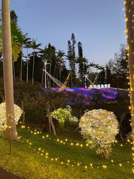 美らヤシパークオキナワ・東南植物楽園に投稿された画像（2021/12/6）