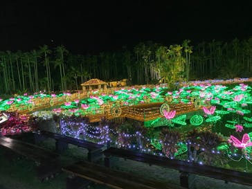 美らヤシパークオキナワ・東南植物楽園に投稿された画像（2021/12/6）