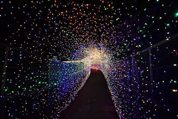 伊豆ぐらんぱる公園に投稿された画像（2021/12/6）