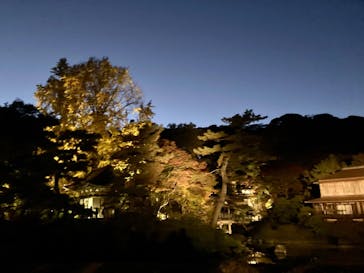 三溪園に投稿された画像（2021/12/6）