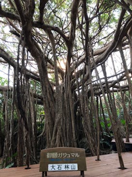 アスムイハイクスに投稿された画像（2021/12/6）