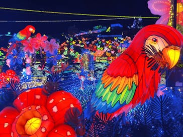 伊豆ぐらんぱる公園に投稿された画像（2021/12/6）