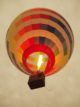 ウイニングバルーンクラブに投稿された画像（2021/12/6）