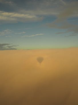 ウイニングバルーンクラブに投稿された画像（2021/12/6）