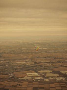 ウイニングバルーンクラブに投稿された画像（2021/12/6）