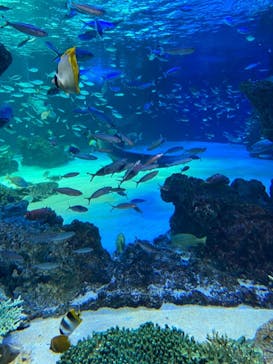サンシャイン水族館に投稿された画像（2021/12/6）