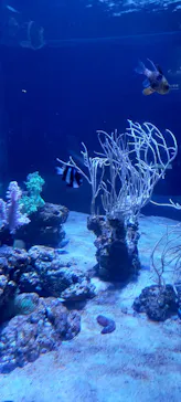 すみだ水族館に投稿された画像（2021/12/6）