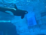 名古屋港水族館に投稿された画像（2021/12/7）