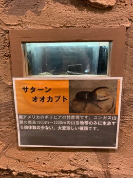 長崎バイオパークに投稿された画像（2021/12/7）