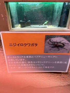 長崎バイオパークに投稿された画像（2021/12/7）