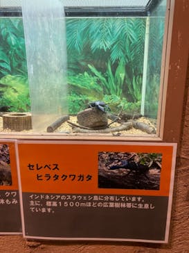 長崎バイオパークに投稿された画像（2021/12/7）