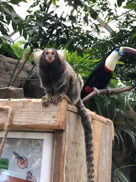 神戸どうぶつ王国に投稿された画像（2021/12/7）