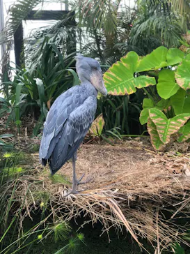 神戸どうぶつ王国に投稿された画像（2021/12/7）